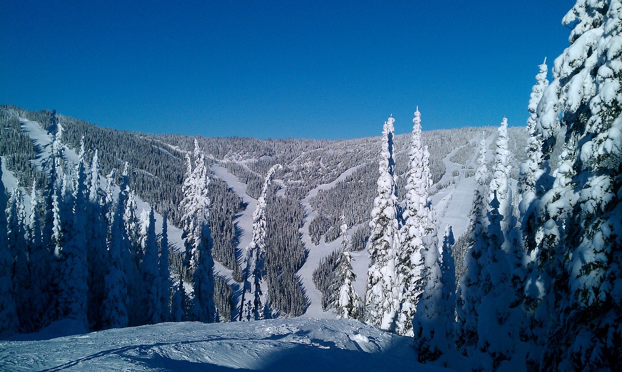 canada snow skiing free photo