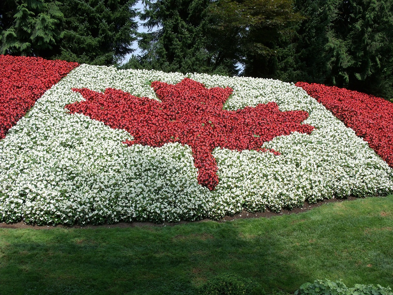 canada flag minter free photo