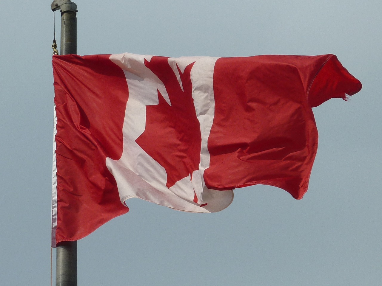 canada flag flag fluttering free photo