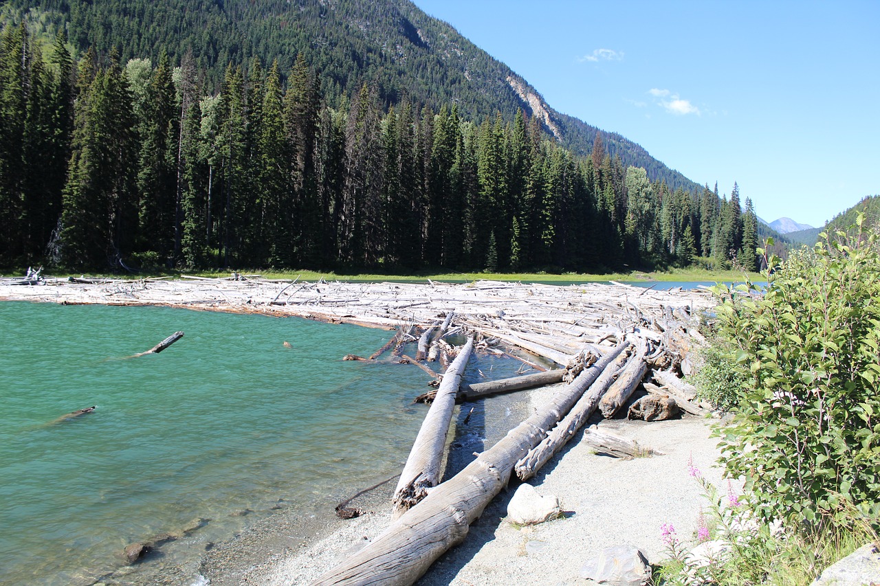 canada bc lake free photo