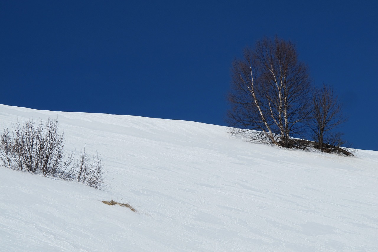 canada beach dune free photo