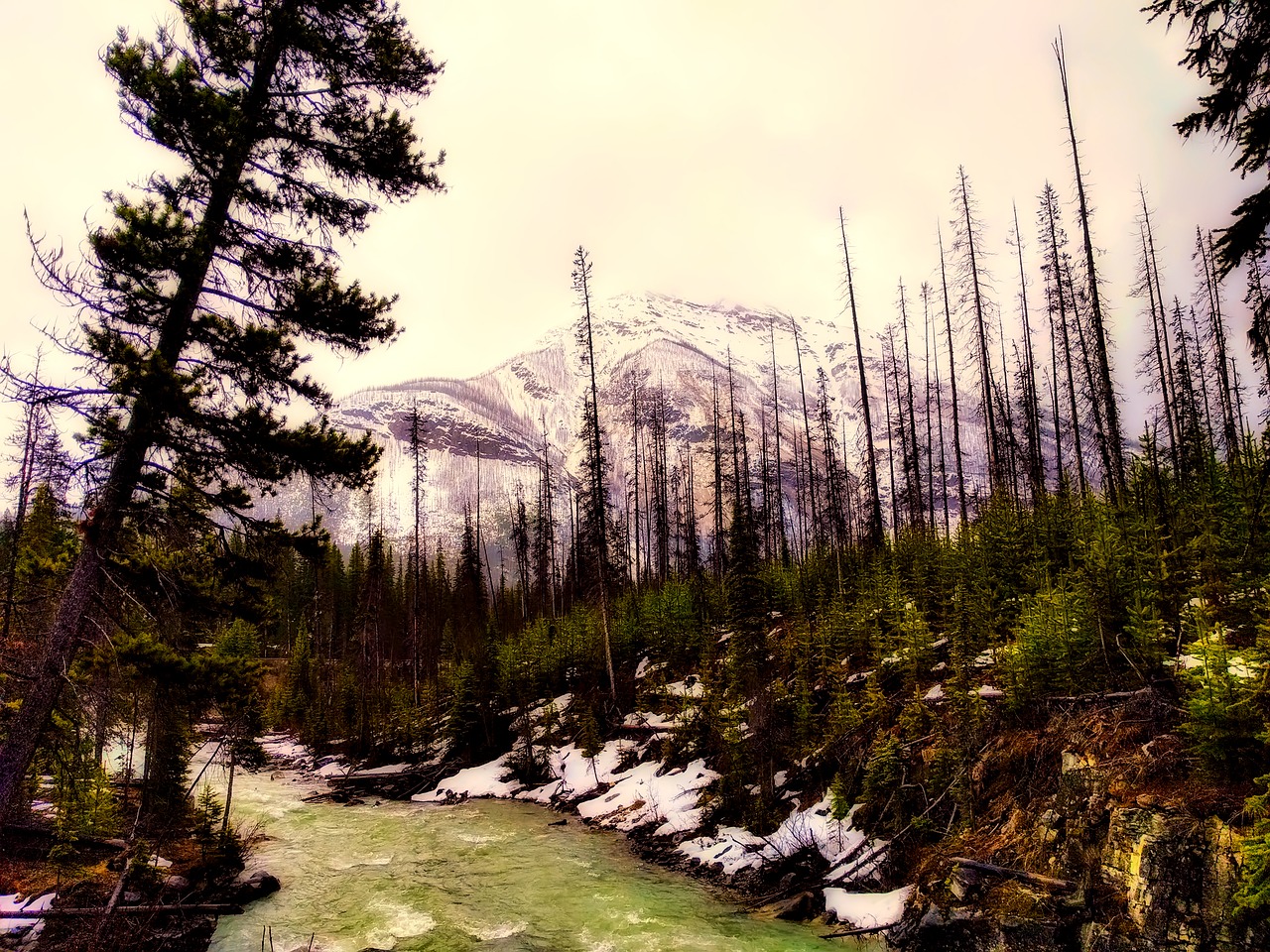 canada landscape stream free photo