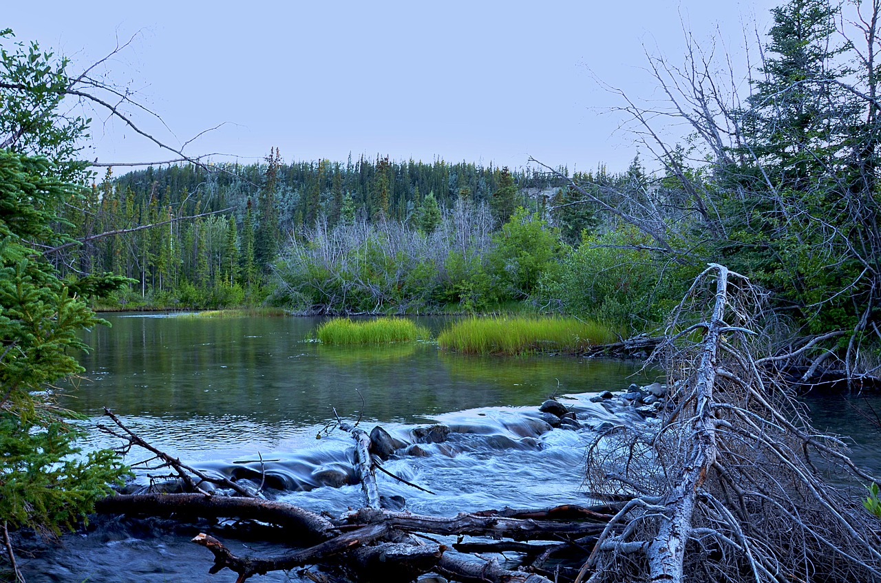 canada  landscape  nature free photo