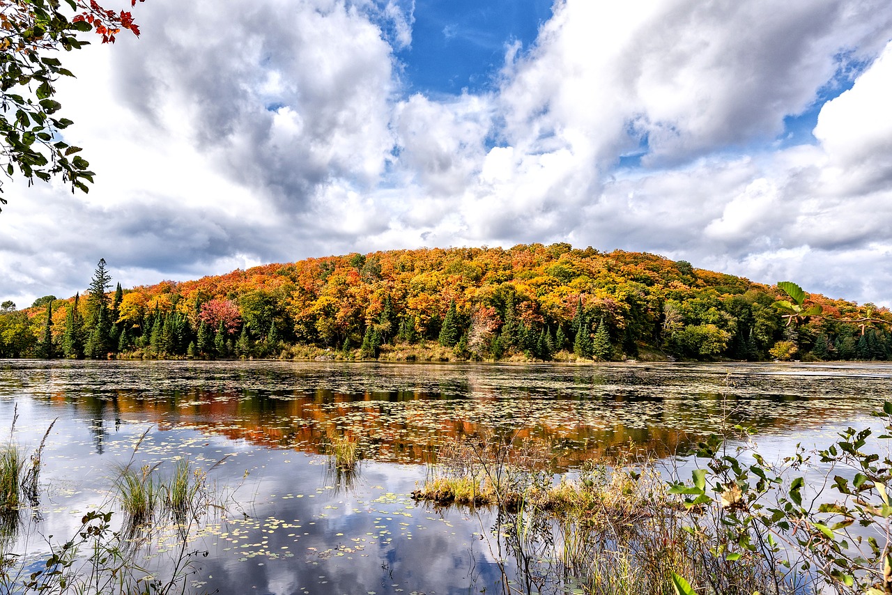 canada  indian summer  ontario free photo