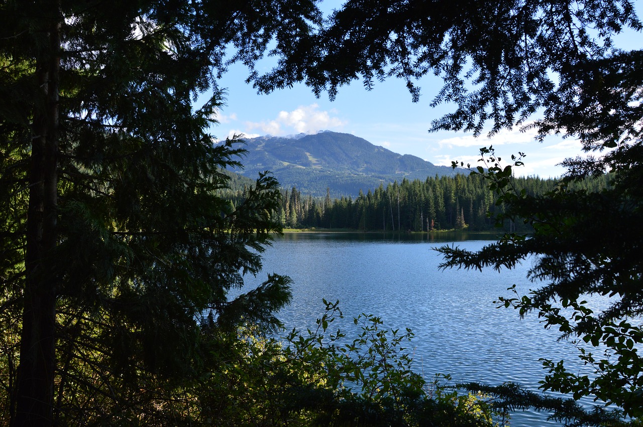 canada  lake  landscape free photo