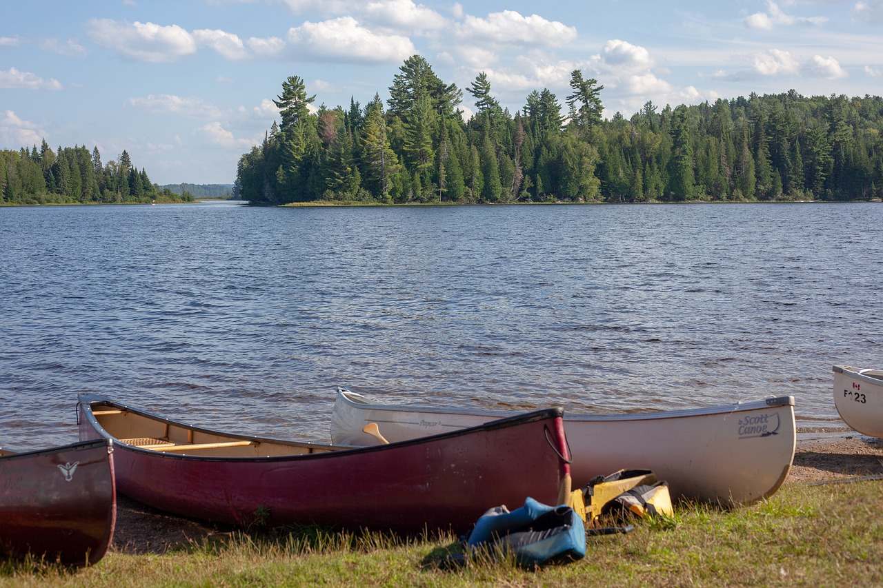 canada  canoeing  nature free photo