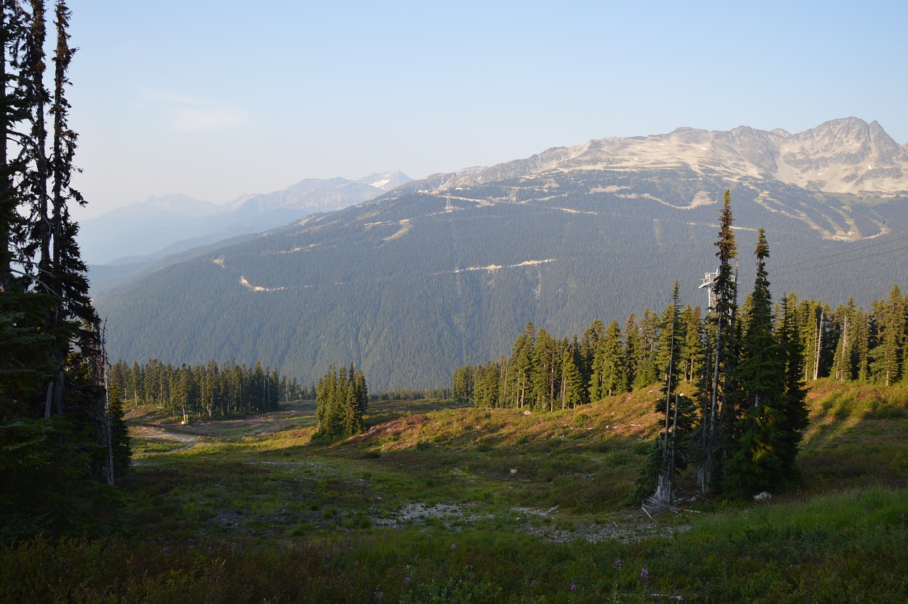 canada  british columbia  nature free photo