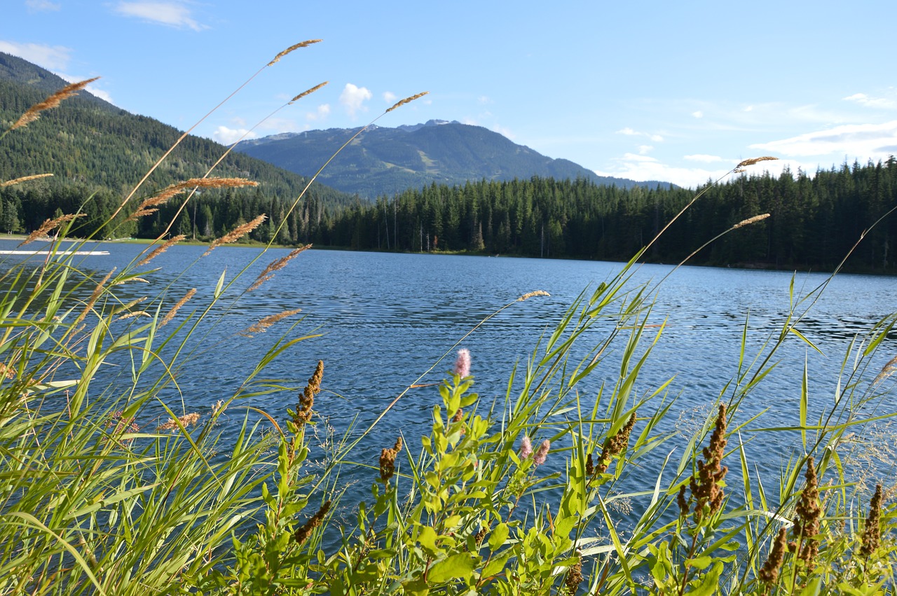 canada  lake  water free photo