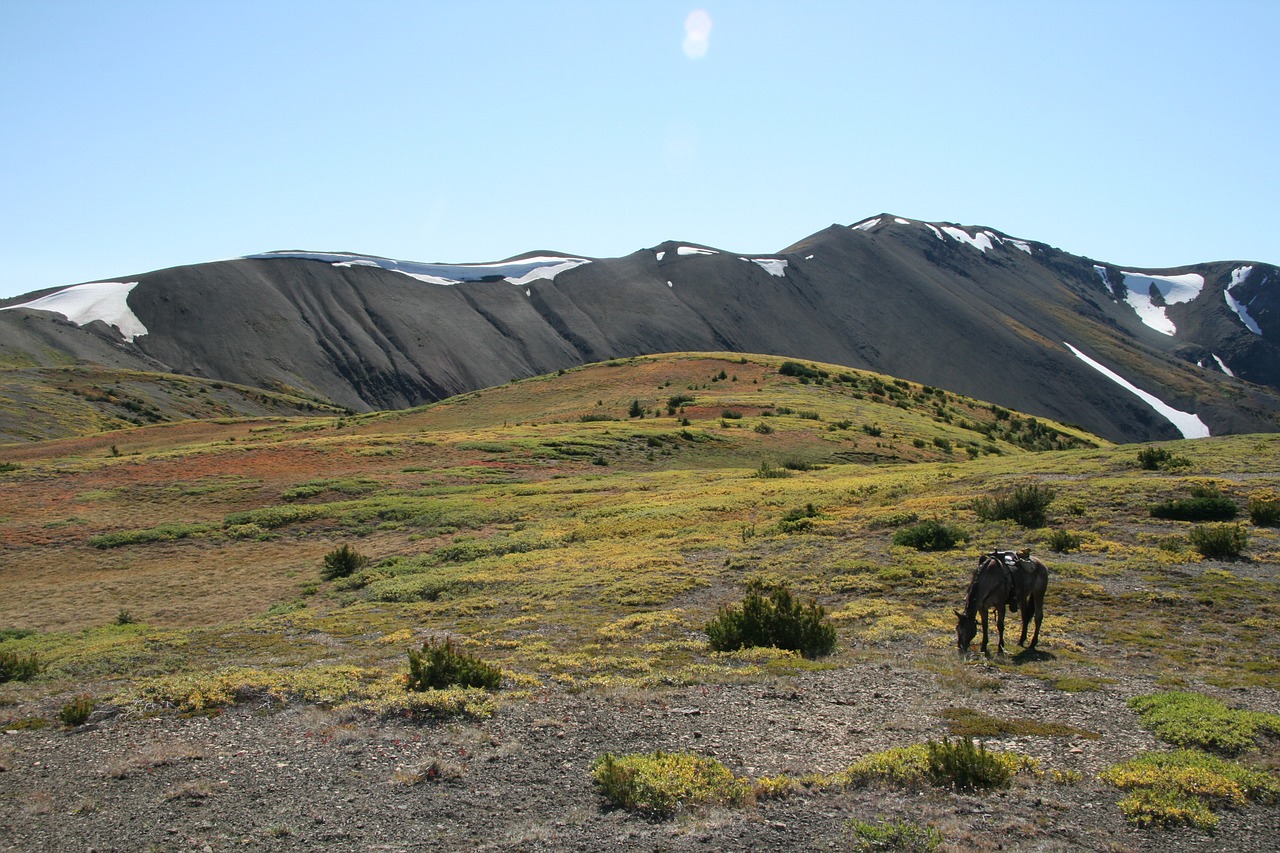 canada eldorado mountains free photo