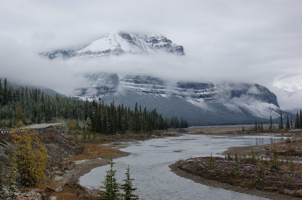 canada  nature  river free photo