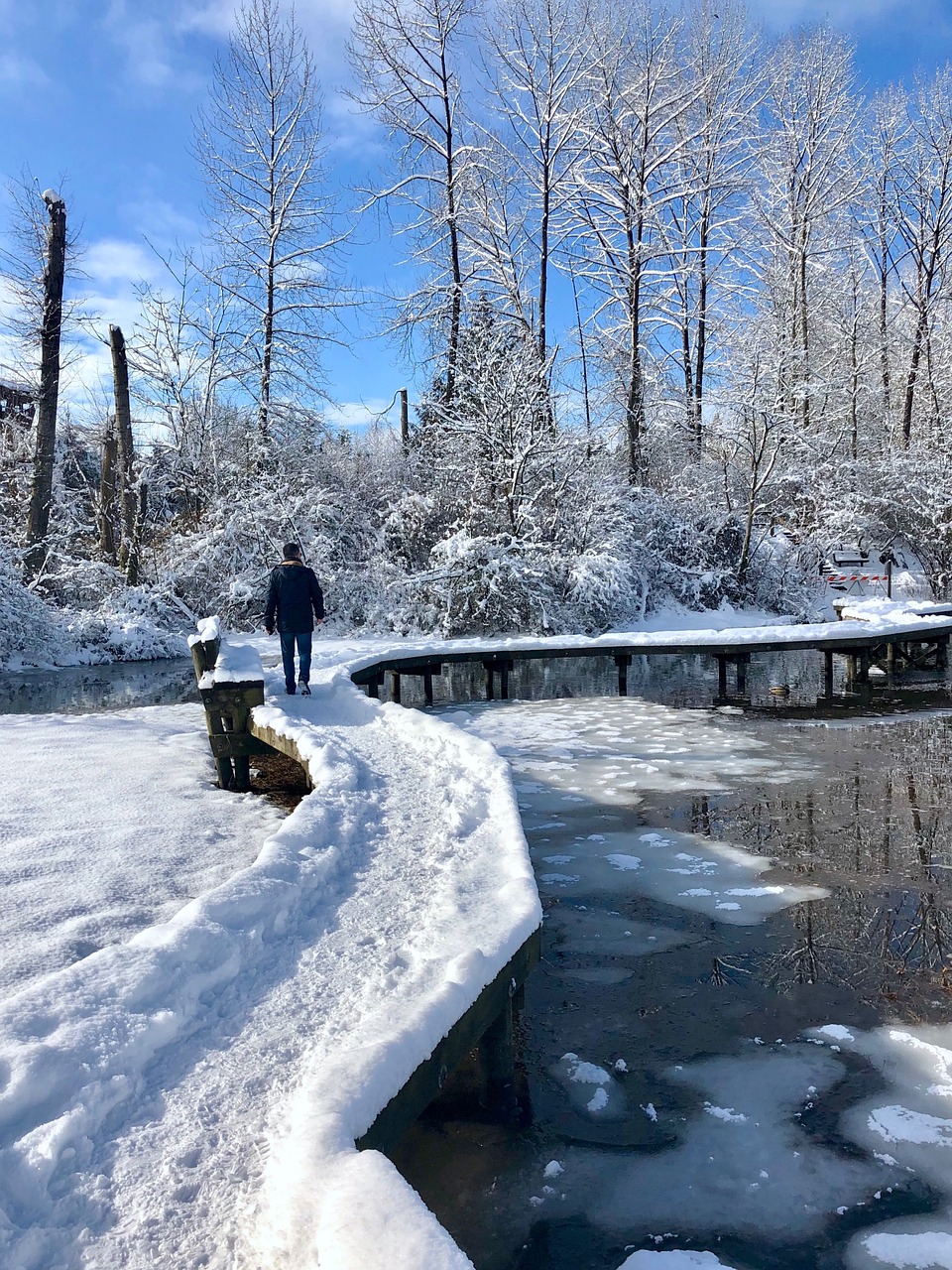 canada  port moody  bc free photo