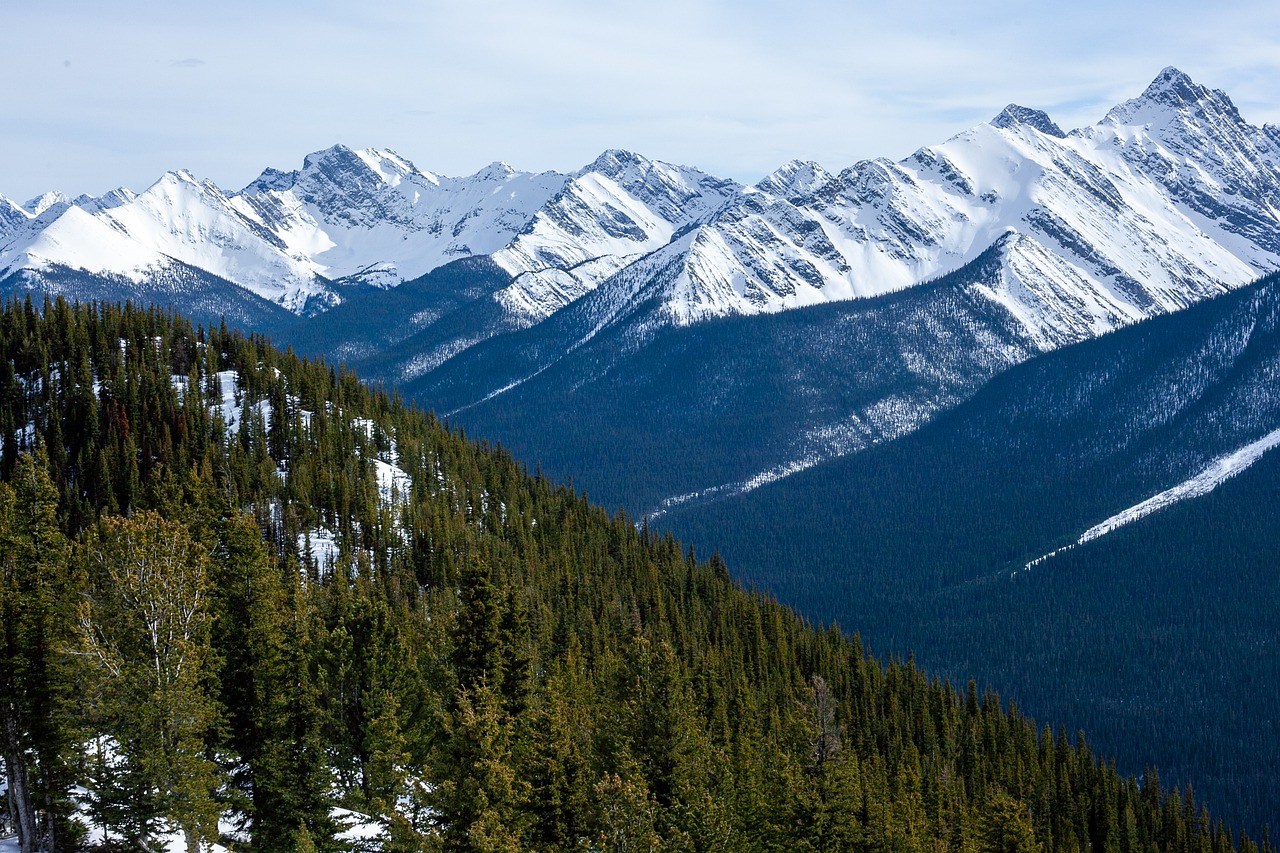 canada  mountains  forests free photo