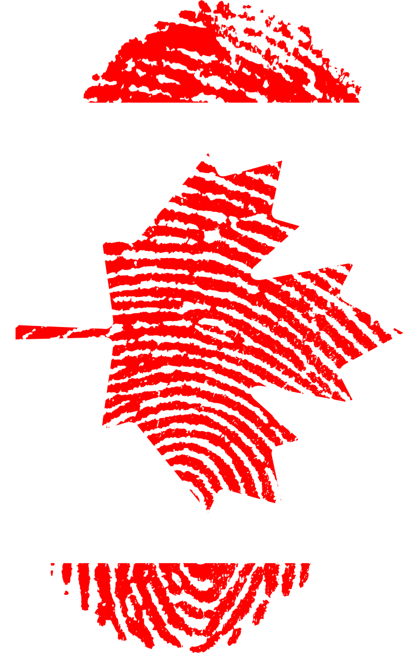 canada flag fingerprint free photo
