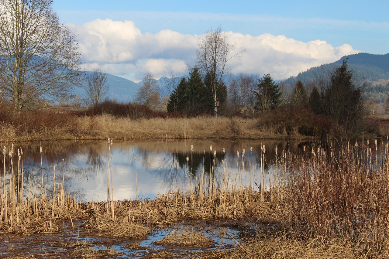 canada pond mountains free photo