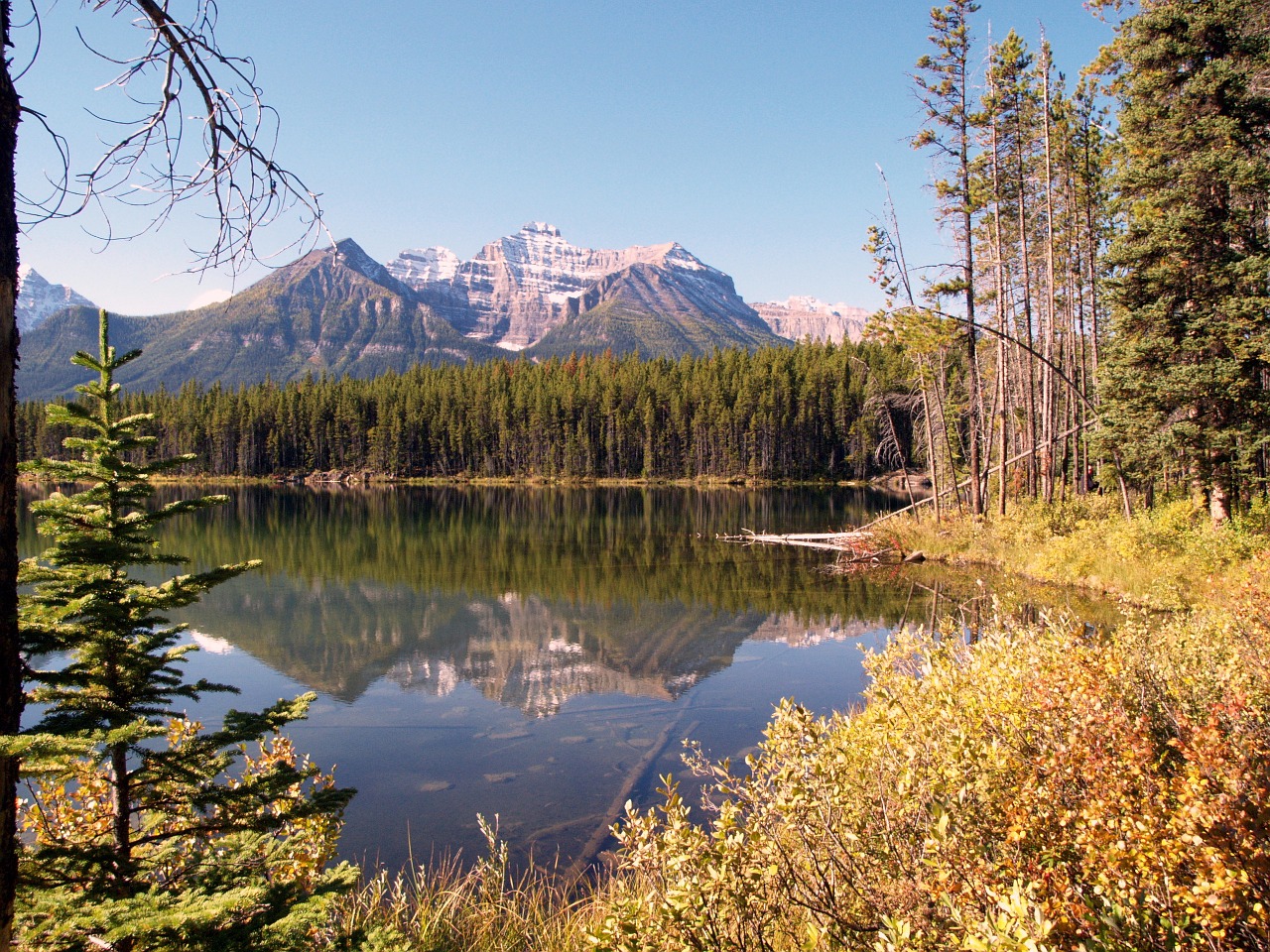 canada indian summer nature free photo