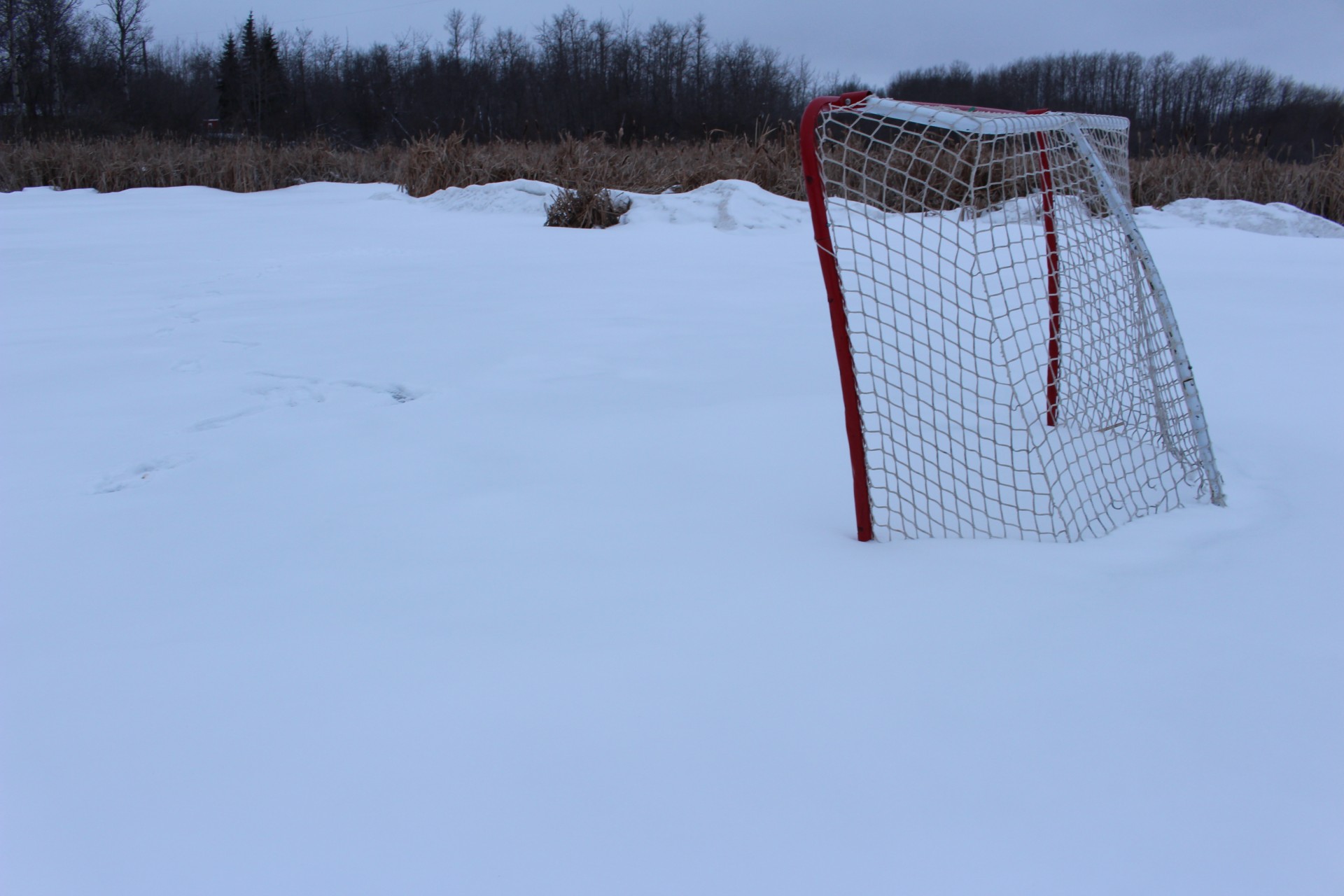 canada hockey rink free photo