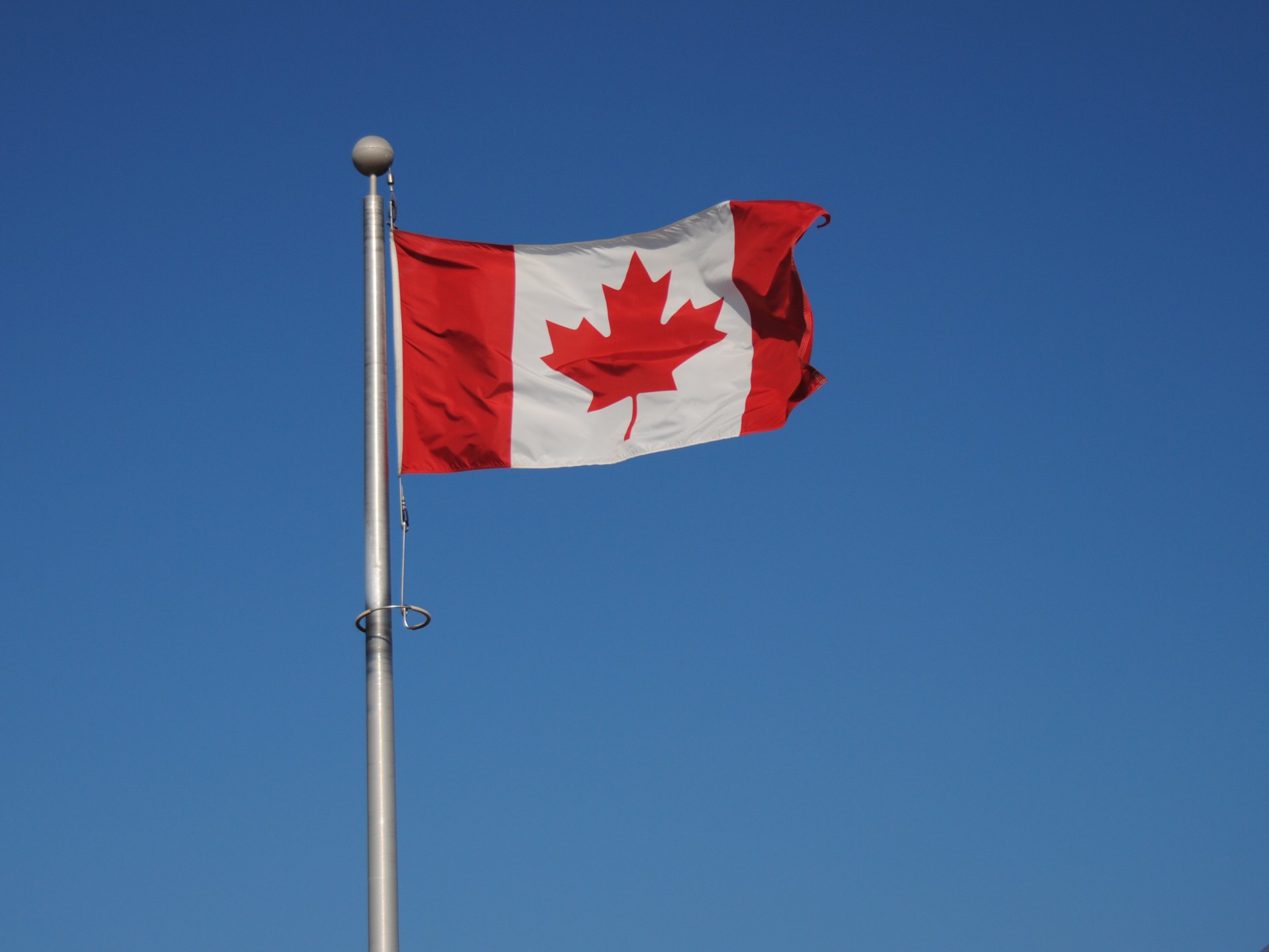 flag canada country free photo