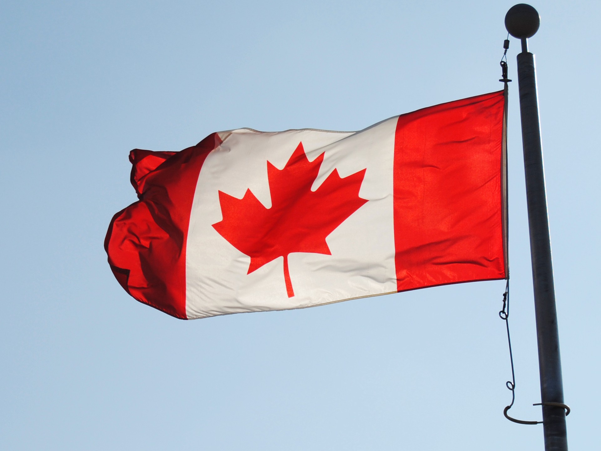 flag canadian country free photo
