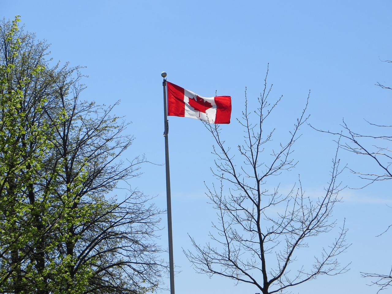 canadian flag canada flag canada free photo