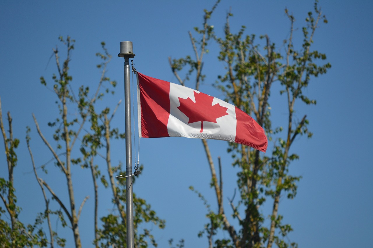 canadian flag  flag  maple leaf free photo