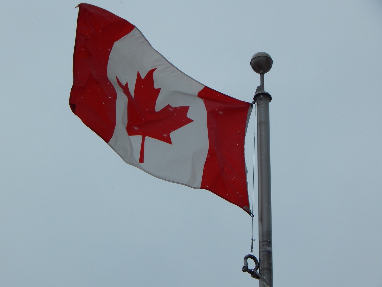 canadian flag winter snowing free photo