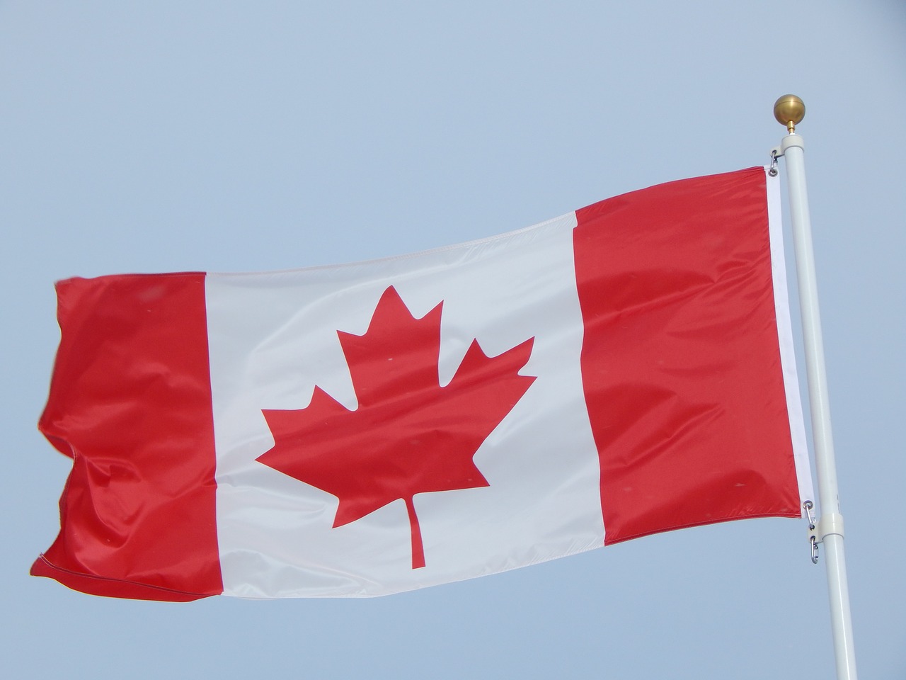canadian flag canada flag free photo