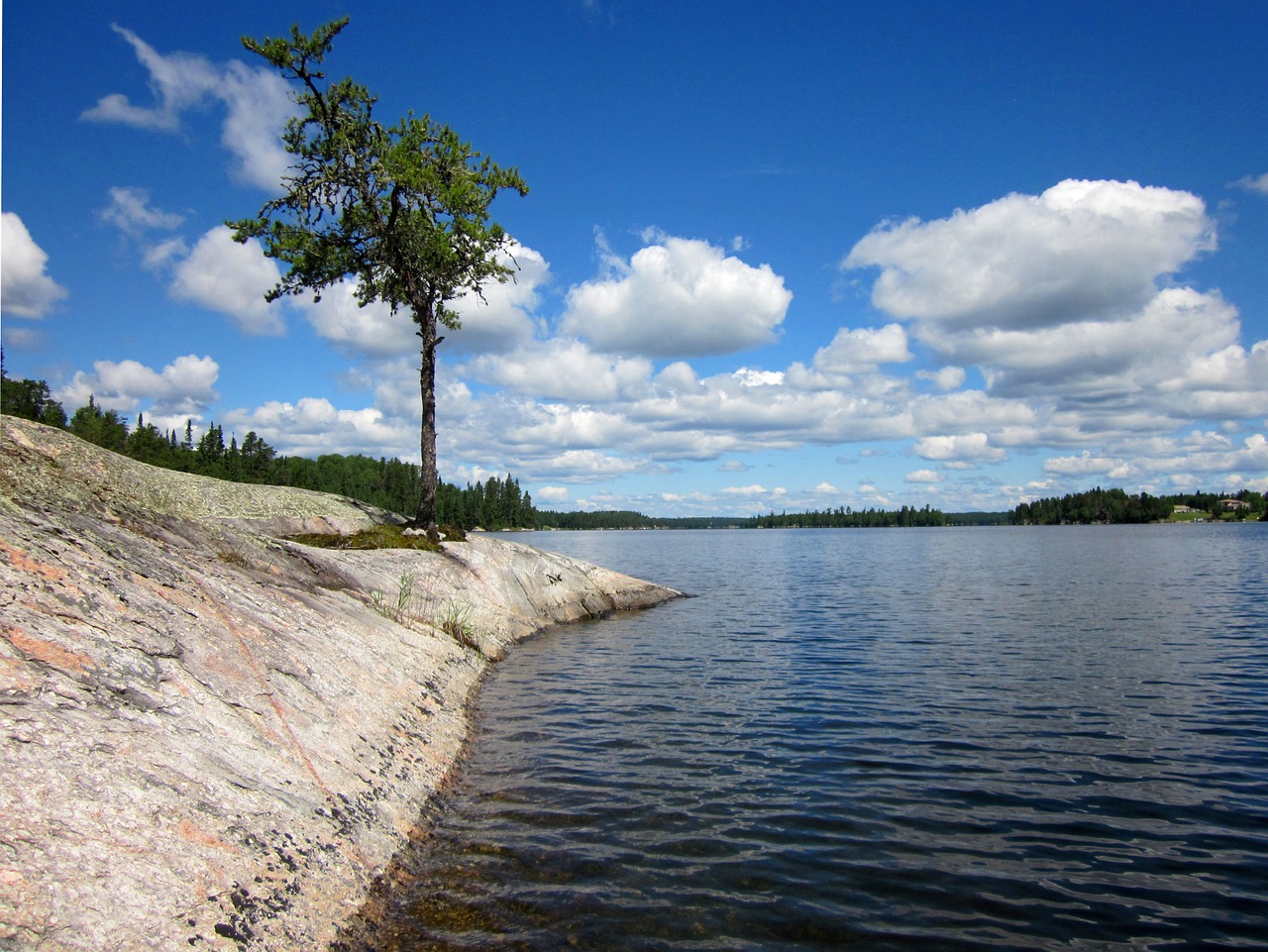 canadian shield lake of the woods rock free photo