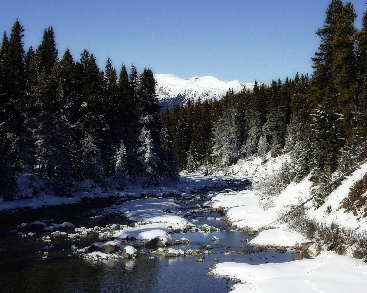 canadien rockys creek winter free photo