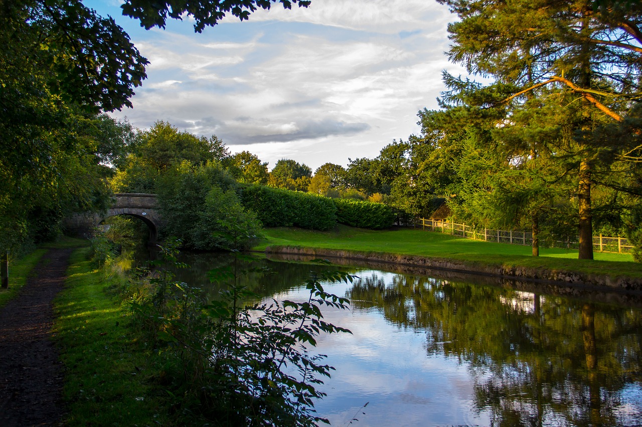 canal forest sky free photo