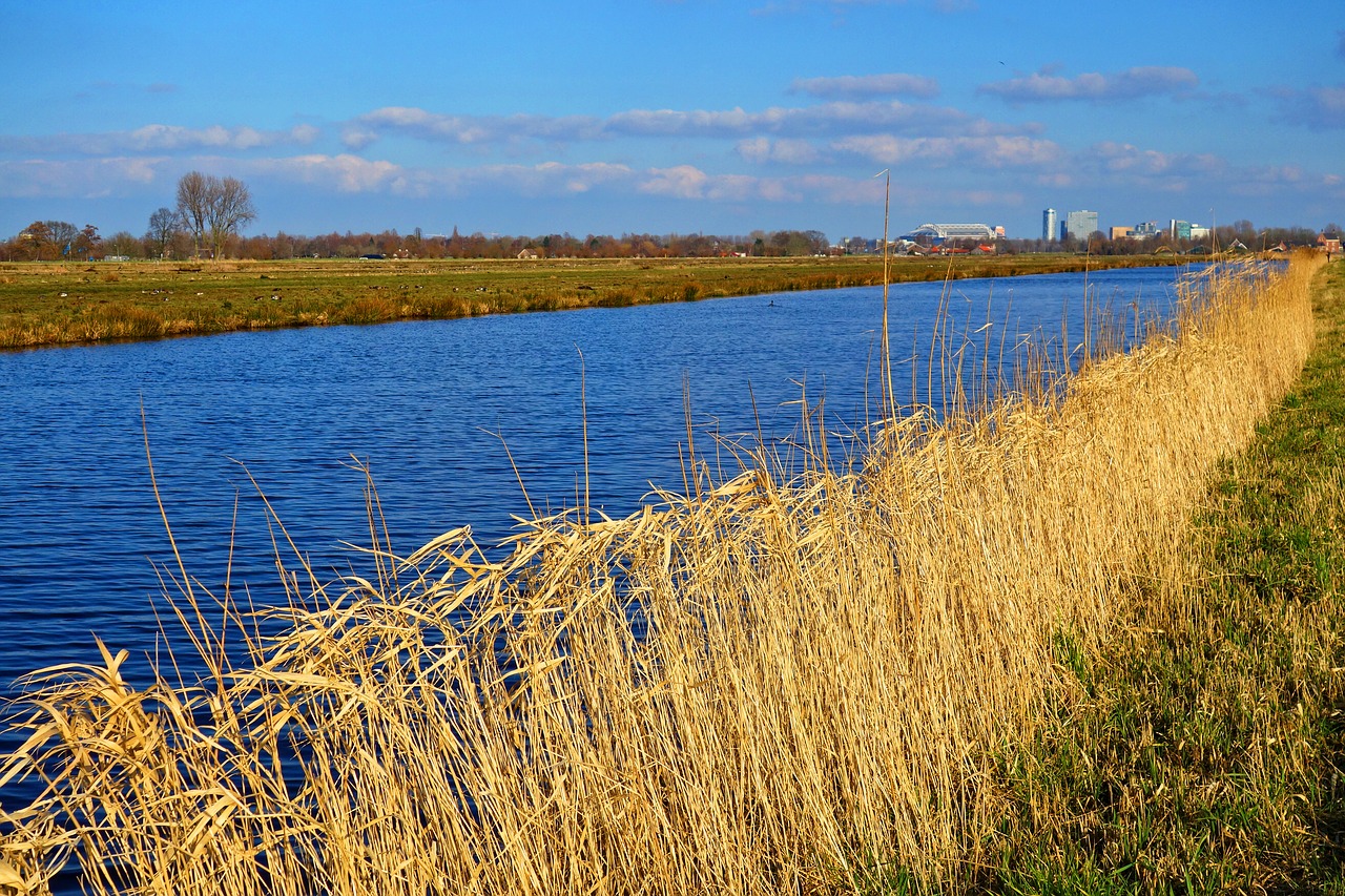 canal waterway shore free photo