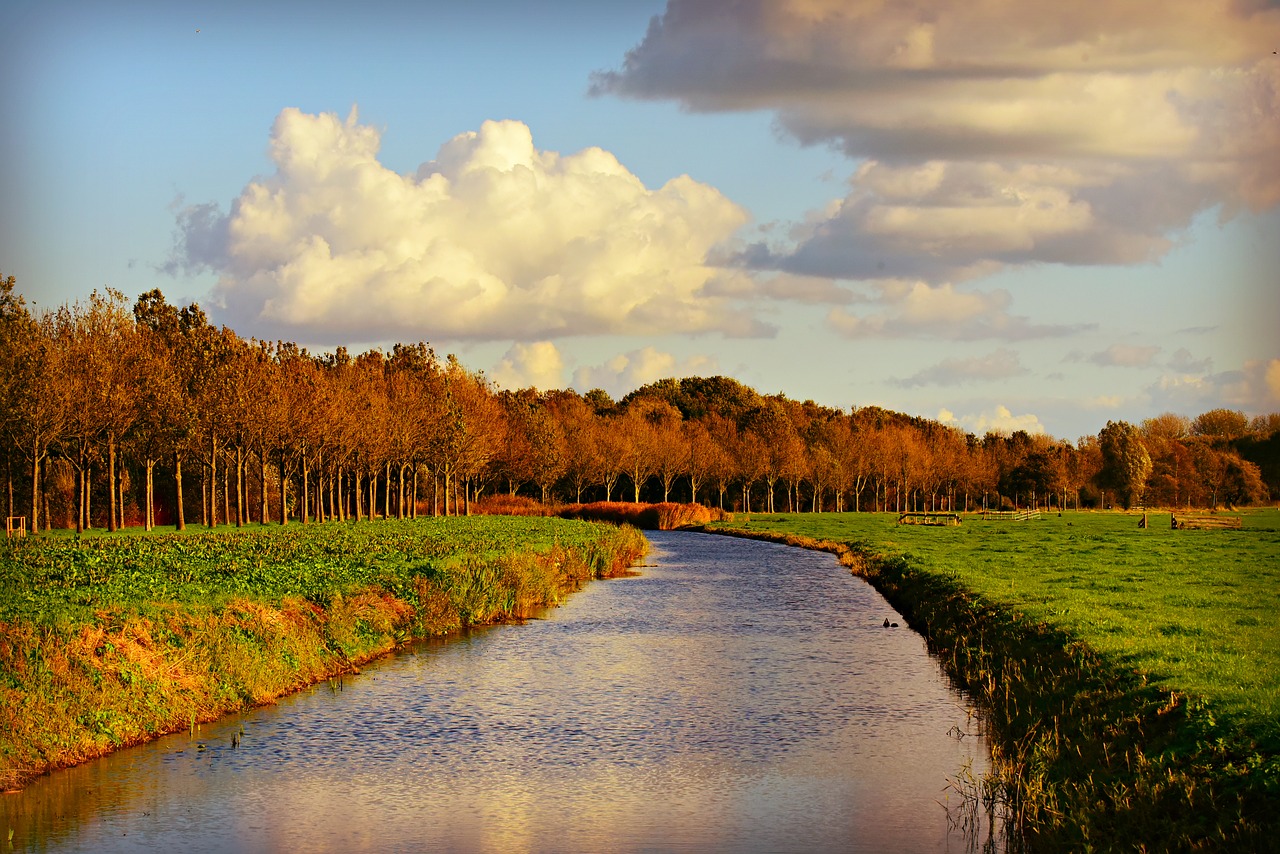 canal  waterway  field free photo