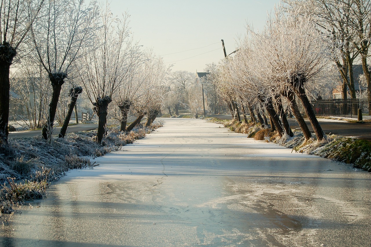 canal bach water running free photo