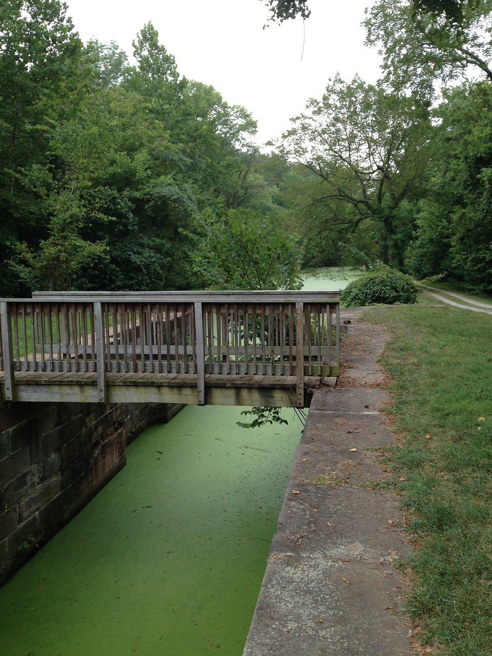 canal summer bridge free photo