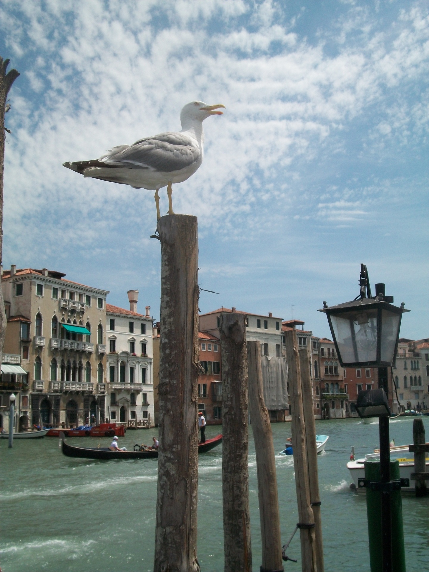 landscape venice venice channel free photo