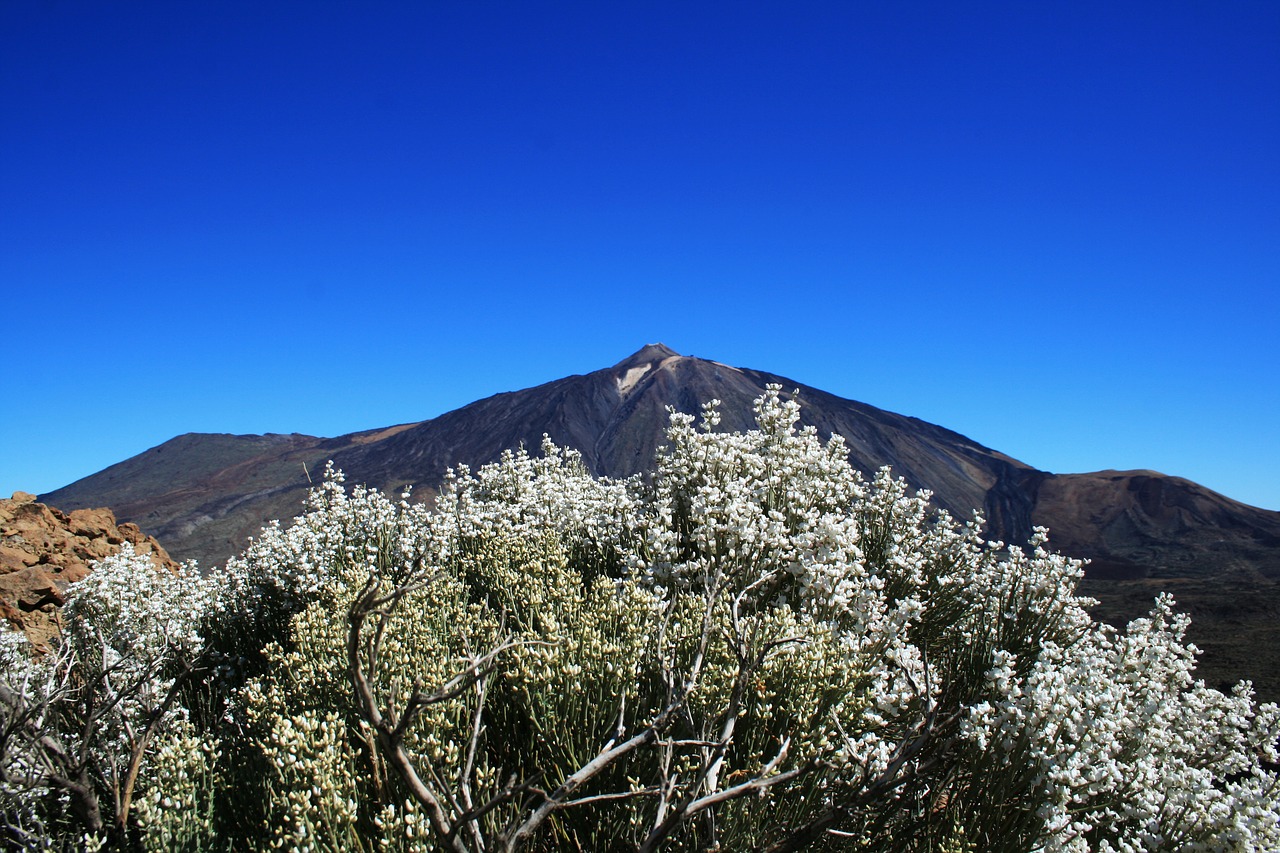 canary islands teide national park tenerife free photo