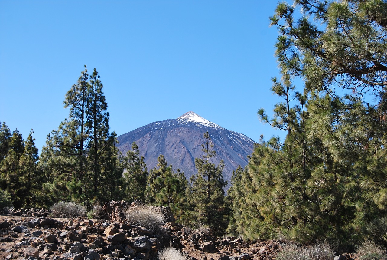 canary islands teide nature free photo