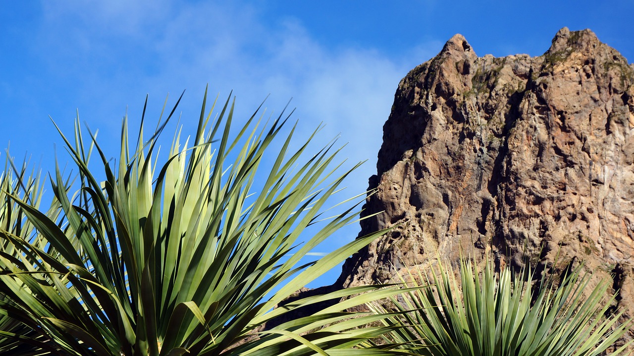 canary islands rocks mountains free photo