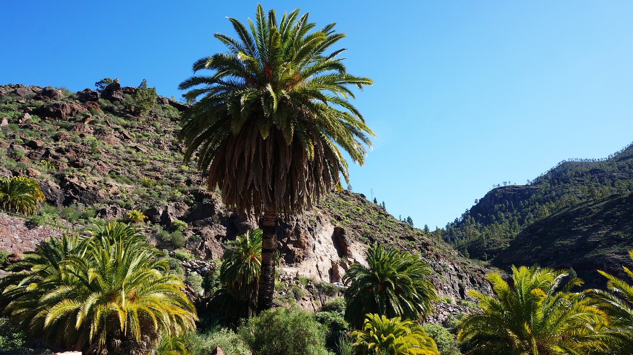 canary islands rocks mountains free photo