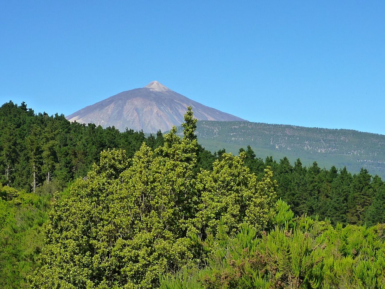 canary islands volcano teide free photo