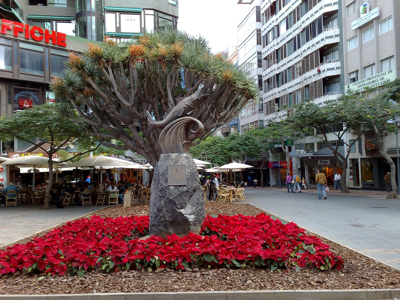 canary islands tenerife city free photo