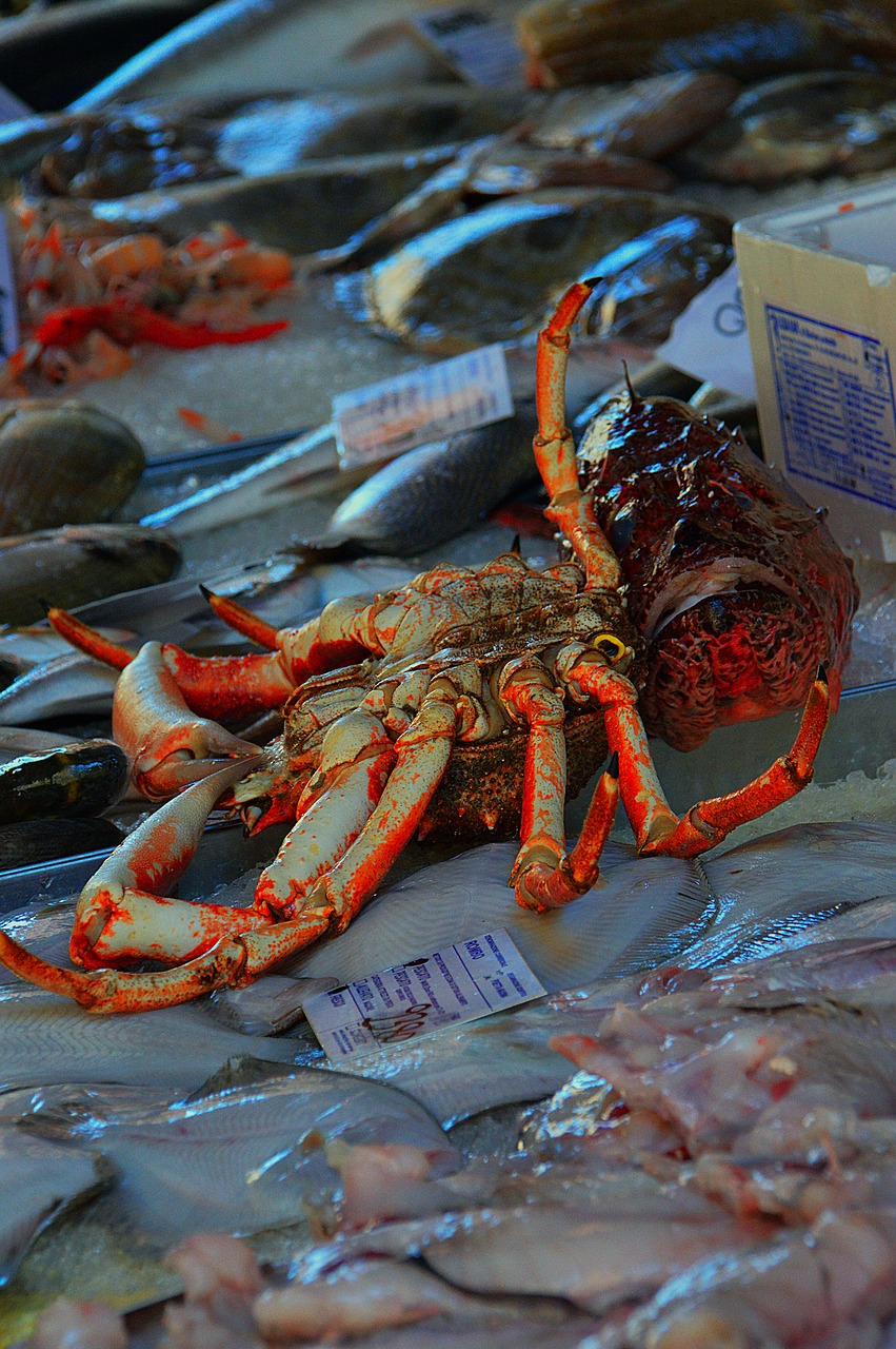 cancer fish market tenge fruits of free photo