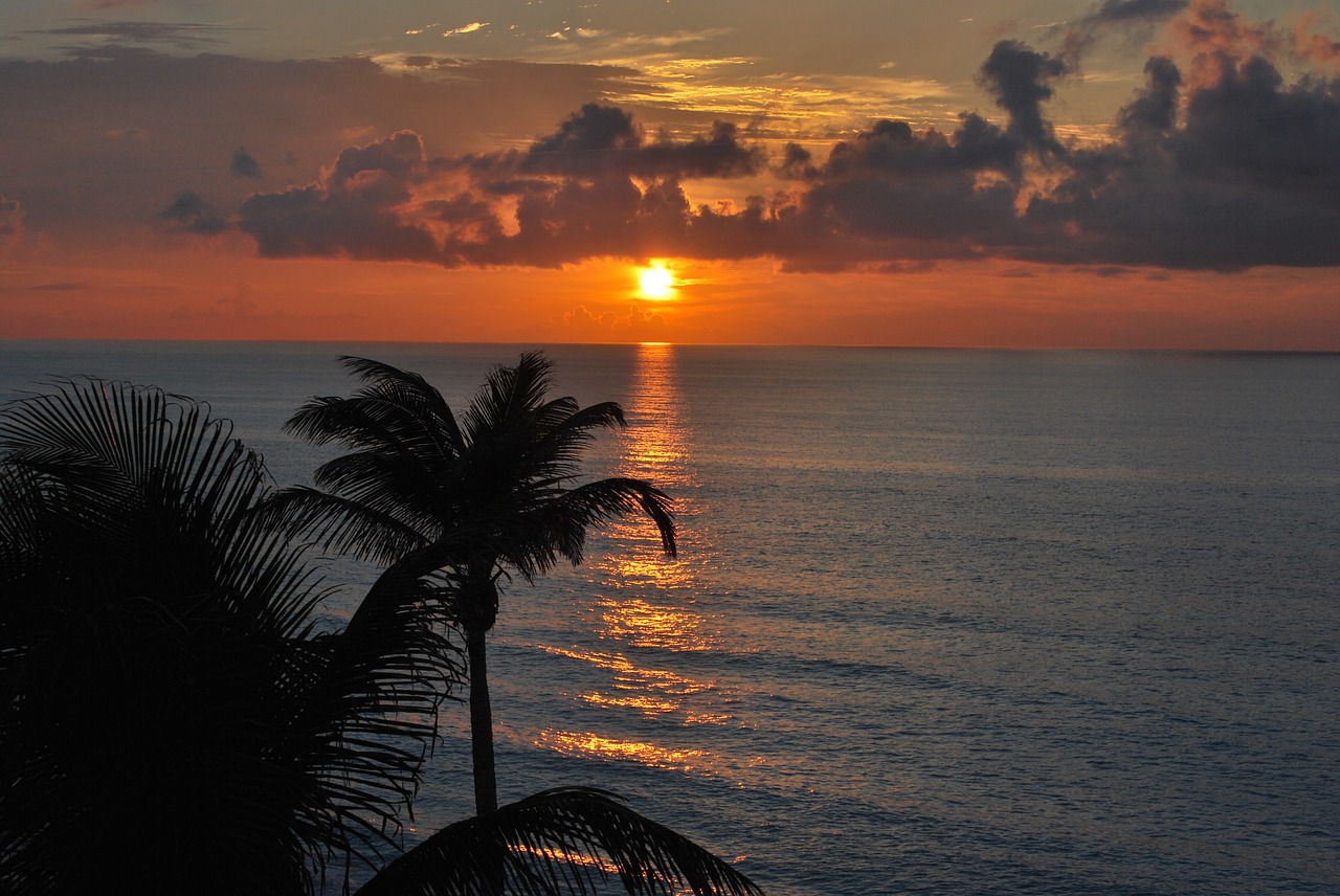 cancun ocean sunset free photo