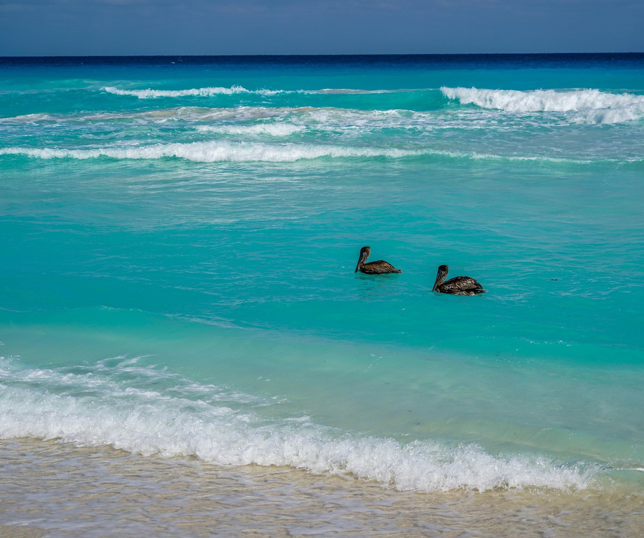 cancun mexico beach free photo