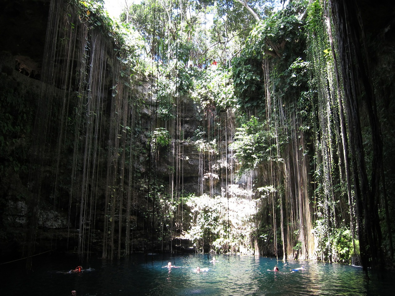 cancun pool jungle free photo