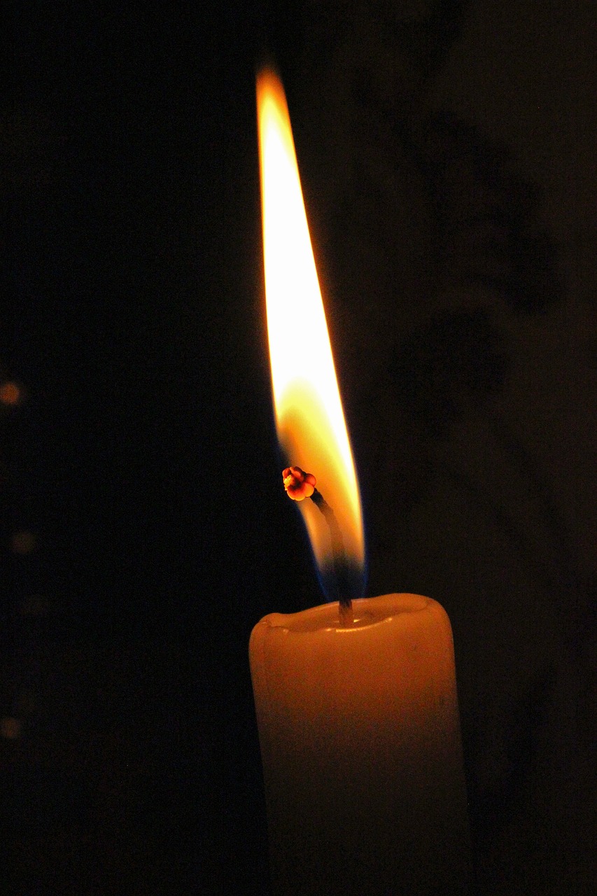 candle light night free photo