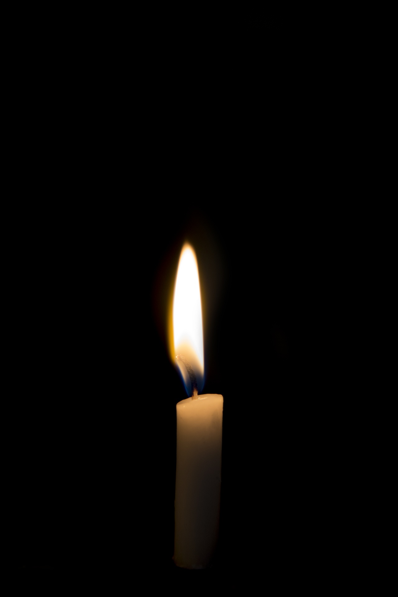 light dark candle free photo