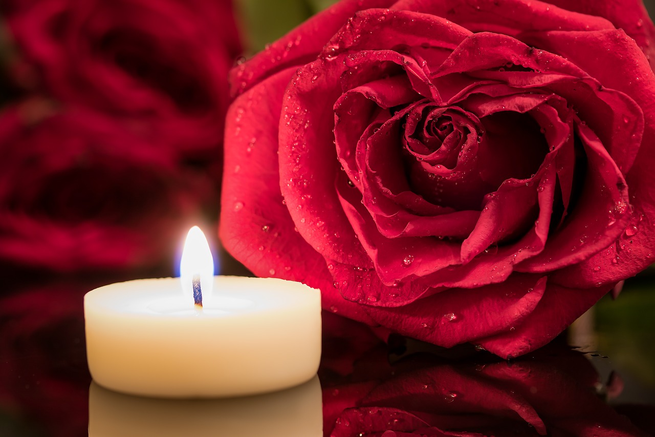 candle red rose candlelight free photo