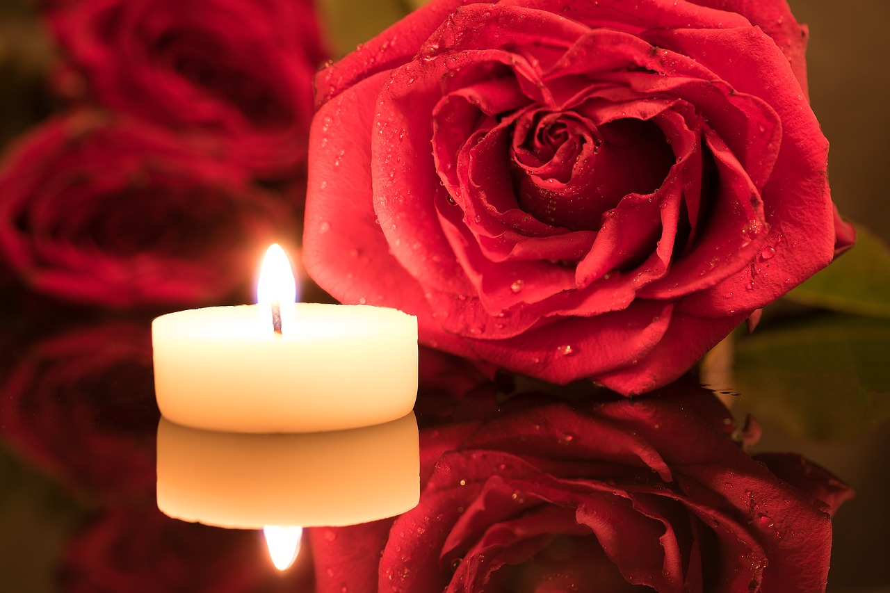 candle red rose candlelight free photo