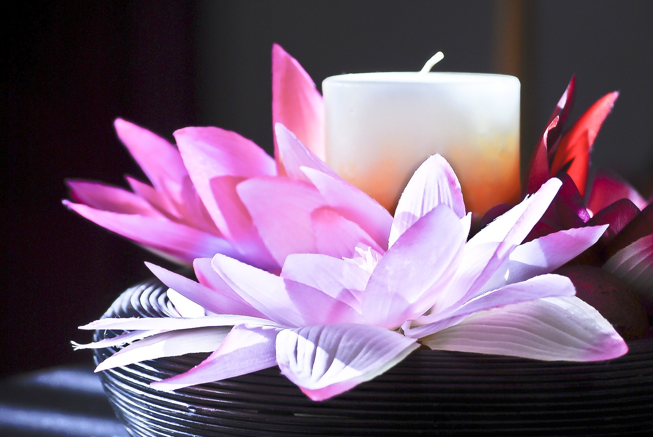 candle flower petals free photo
