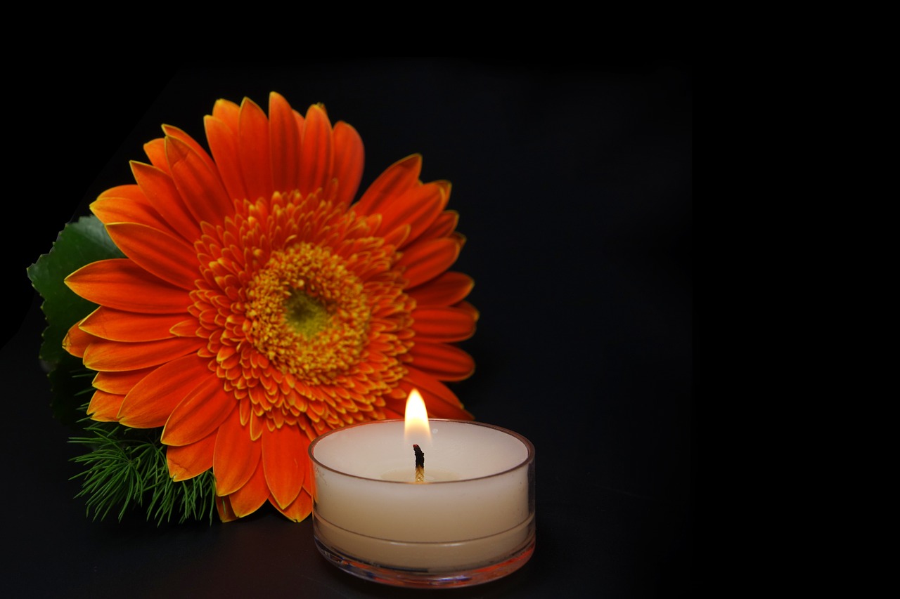candle flower mourning free photo